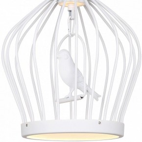 Подвесной светильник Favourite Chick 1931-2P в Сысерти - sysert.mebel24.online | фото 3