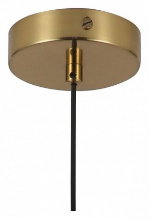 Подвесной светильник Favourite Copita 2777-1P в Сысерти - sysert.mebel24.online | фото 5