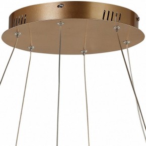 Подвесной светильник Favourite Hexagon 2103-14P в Сысерти - sysert.mebel24.online | фото 5