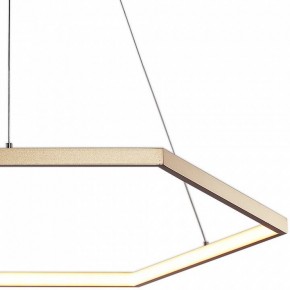 Подвесной светильник Favourite Hexagon 2103-6P в Сысерти - sysert.mebel24.online | фото 3