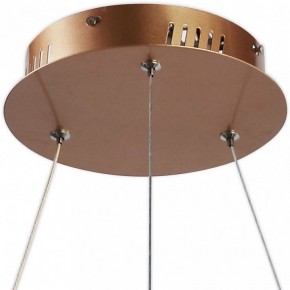 Подвесной светильник Favourite Hexagon 2103-6P в Сысерти - sysert.mebel24.online | фото 4