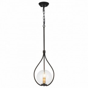 Подвесной светильник Favourite Kessel 1905-1P в Сысерти - sysert.mebel24.online | фото 2