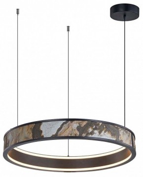 Подвесной светильник Favourite Lago 4598-1P в Сысерти - sysert.mebel24.online | фото 2