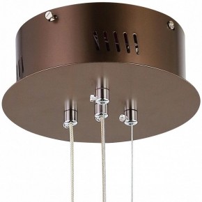 Подвесной светильник Favourite Saturn 2102-2P в Сысерти - sysert.mebel24.online | фото 5