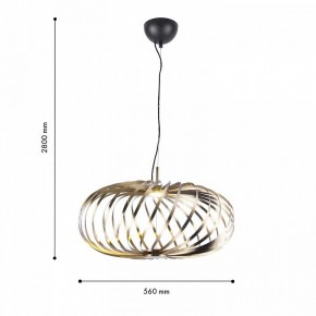 Подвесной светильник Favourite Spring 4680-1P в Сысерти - sysert.mebel24.online | фото 4