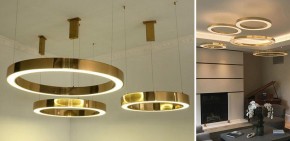 Подвесной светильник Imperiumloft Light Ring Horizontal 40.1454-100 в Сысерти - sysert.mebel24.online | фото 2