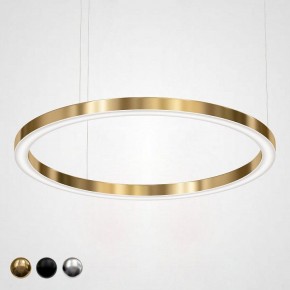 Подвесной светильник Imperiumloft Light Ring Horizontal 40.1454-120 в Сысерти - sysert.mebel24.online | фото