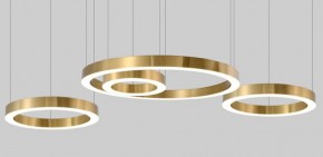 Подвесной светильник Imperiumloft Light Ring Horizontal 40.1454-60 в Сысерти - sysert.mebel24.online | фото 3
