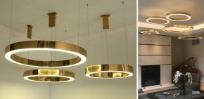 Подвесной светильник Imperiumloft Light Ring Horizontal 40.1454-60 в Сысерти - sysert.mebel24.online | фото 4