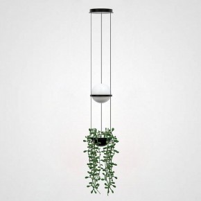 Подвесной светильник Imperiumloft Palma Wall Lamp 22.93727 в Сысерти - sysert.mebel24.online | фото