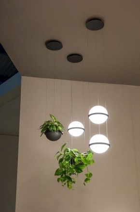 Подвесной светильник Imperiumloft Palma Wall Lamp 22.93727 в Сысерти - sysert.mebel24.online | фото 4