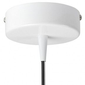 Подвесной светильник Lightstar Conicita 804110 в Сысерти - sysert.mebel24.online | фото 6