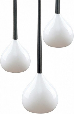 Подвесной светильник Lightstar Forma 808230 в Сысерти - sysert.mebel24.online | фото 3