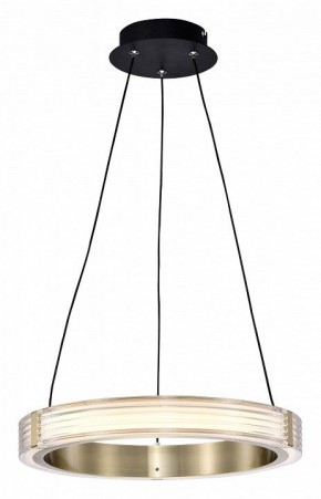 Подвесной светильник Lightstar Rotonda 736241 в Сысерти - sysert.mebel24.online | фото