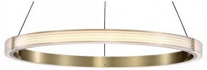 Подвесной светильник Lightstar Rotonda 736261 в Сысерти - sysert.mebel24.online | фото