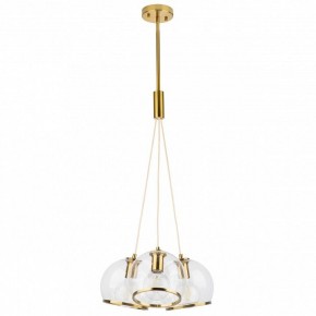 Подвесной светильник Lightstar Sferico 729031 в Сысерти - sysert.mebel24.online | фото 2
