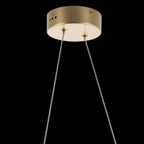 Подвесной светильник Lightstar Varese 731313 в Сысерти - sysert.mebel24.online | фото 7