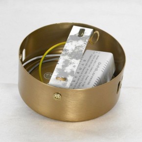 Подвесной светильник Lussole Centennial LSP-7025 в Сысерти - sysert.mebel24.online | фото 6