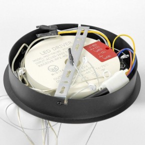 Подвесной светильник Lussole Hale LSP-7380 в Сысерти - sysert.mebel24.online | фото 6