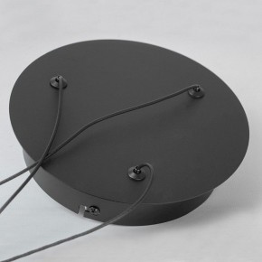 Подвесной светильник Lussole Lassen LSP-7257 в Сысерти - sysert.mebel24.online | фото 6