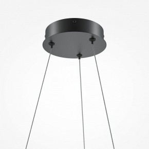 Подвесной светильник Maytoni Curve MOD241PL-L60BK в Сысерти - sysert.mebel24.online | фото 6