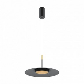 Подвесной светильник Maytoni Halo MOD041PL-L15B3K1 в Сысерти - sysert.mebel24.online | фото 2
