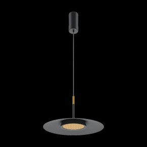 Подвесной светильник Maytoni Halo MOD041PL-L15B3K1 в Сысерти - sysert.mebel24.online | фото 4