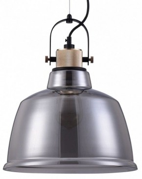 Подвесной светильник Maytoni Irving T163PL-01C в Сысерти - sysert.mebel24.online | фото 2