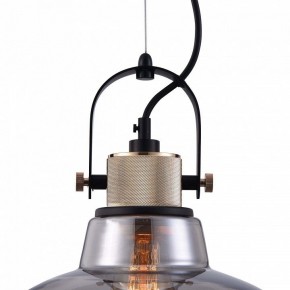 Подвесной светильник Maytoni Irving T163PL-01C в Сысерти - sysert.mebel24.online | фото 9