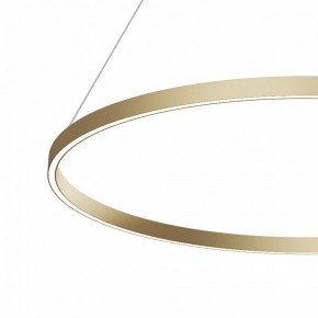 Подвесной светильник Maytoni Rim MOD058PL-L54BSK в Сысерти - sysert.mebel24.online | фото 4