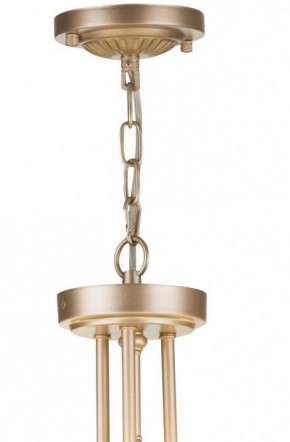 Подвесной светильник Maytoni Roma ARM006PL-06G в Сысерти - sysert.mebel24.online | фото 5