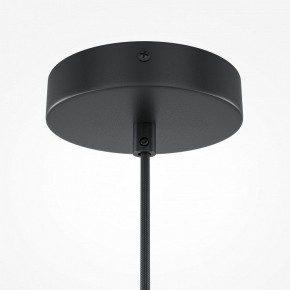 Подвесной светильник Maytoni Roots MOD194PL-01W1 в Сысерти - sysert.mebel24.online | фото 5