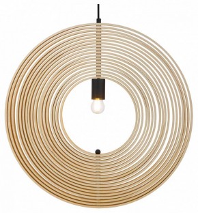 Подвесной светильник Maytoni Roots MOD197PL-01W2 в Сысерти - sysert.mebel24.online | фото 2