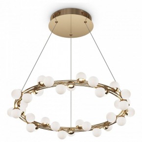 Подвесной светильник Maytoni Tessara MOD081PL-L50G3K в Сысерти - sysert.mebel24.online | фото 2