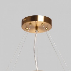 Подвесной светильник MW-Light Илоника 10 451013006 в Сысерти - sysert.mebel24.online | фото 10