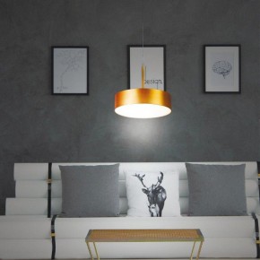 Подвесной светильник Novotech Prometa 358766 в Сысерти - sysert.mebel24.online | фото 4