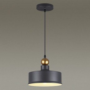 Подвесной светильник Odeon Light Bolli 4088/1 в Сысерти - sysert.mebel24.online | фото 4