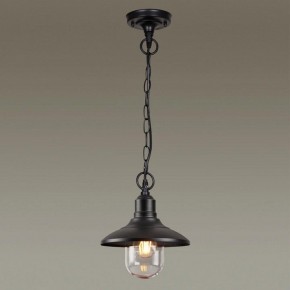 Подвесной светильник Odeon Light Campa 4965/1 в Сысерти - sysert.mebel24.online | фото 2