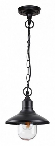 Подвесной светильник Odeon Light Campa 4965/1 в Сысерти - sysert.mebel24.online | фото 3