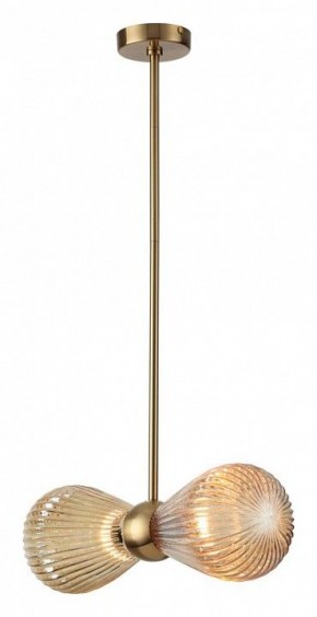 Подвесной светильник Odeon Light Elica 5402/2 в Сысерти - sysert.mebel24.online | фото 2