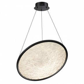 Подвесной светильник Odeon Light Fuso 7046/41L в Сысерти - sysert.mebel24.online | фото 2