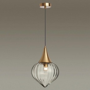 Подвесной светильник Odeon Light Kesta 4950/1 в Сысерти - sysert.mebel24.online | фото 2