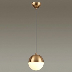 Подвесной светильник Odeon Light Pinga 4960/1 в Сысерти - sysert.mebel24.online | фото 2
