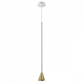 Подвесной светильник Odeon Light Pipa 3884/1GW в Сысерти - sysert.mebel24.online | фото 2