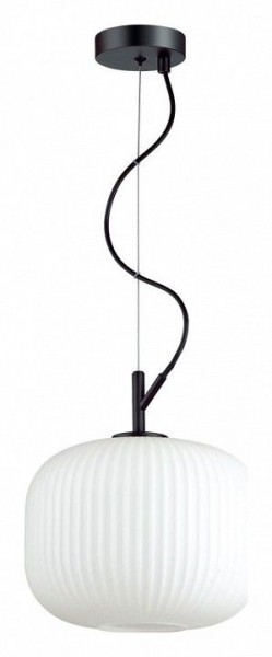 Подвесной светильник Odeon Light Roofi 4753/1 в Сысерти - sysert.mebel24.online | фото 2
