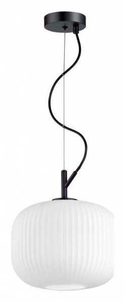 Подвесной светильник Odeon Light Roofi 4753/1 в Сысерти - sysert.mebel24.online | фото 3
