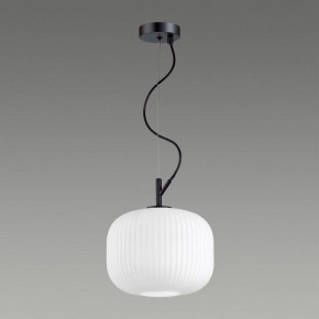 Подвесной светильник Odeon Light Roofi 4753/1 в Сысерти - sysert.mebel24.online | фото 4