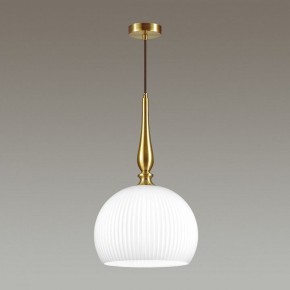 Подвесной светильник Odeon Light Runga 4765/1 в Сысерти - sysert.mebel24.online | фото 4
