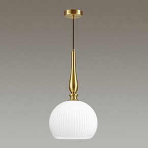 Подвесной светильник Odeon Light Runga 4766/1 в Сысерти - sysert.mebel24.online | фото 4