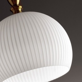Подвесной светильник Odeon Light Runga 4766/1 в Сысерти - sysert.mebel24.online | фото 8